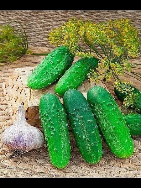 ������ �������� ��������: ��� ������� ��������� ������ � ������� ��������������� �������