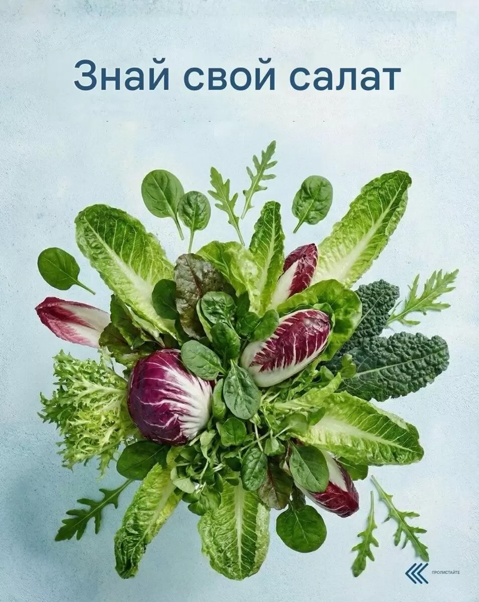 Салаты, которые вдохновляют