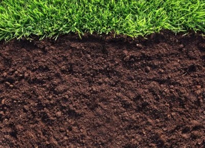 ��� �������� ��������� �������: ������� � ������ ��� �������� ������ � ������