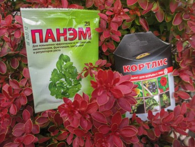 ����������� ������� ������ ��� � ����