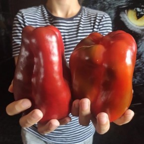 ����� ��� ������: ��� ��������� ������� � ������������ ������