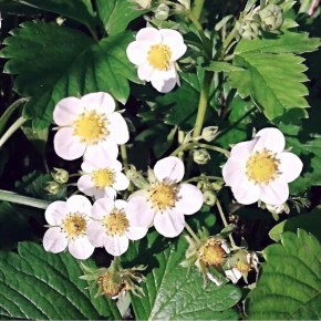 ���� �� ��������� � ������ ��������: ������� ��� ��������� ������