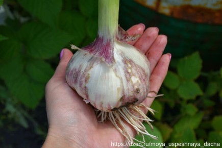 ��� ����������, ��� ������ ����� � ������: ��� �������� ��������