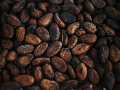 ���� �� �����-���� ���������� ���� 3 500 �������� �� �����