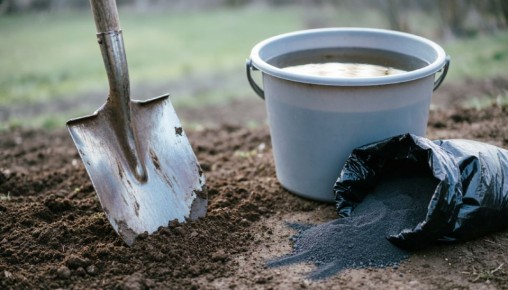 ��� ���� ����� �������� �������� ������: ����������� ����������� �� ����