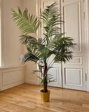 ���� �� ���������� � �������� ��������