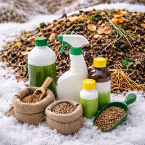 ��� ������������ ������: ������ ��� ���?