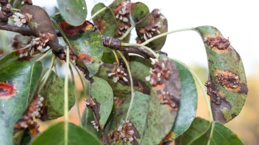 ��� �������� ������� �������� ������: ��� ����������� �������� ��� ����������� �����