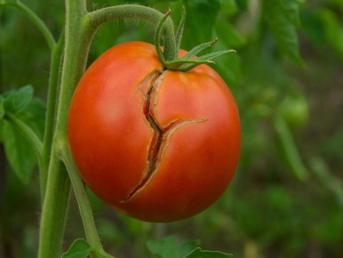 ������ �������������� �������� ����� ��������������� � ��������� � ����� �������