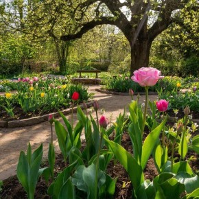 ��� ������� �������� ���: ���������� ������ �� ������ ��������� �������