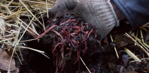 ��� ������� ��� ��� ���� ��� �������� ������: ��� ������� ������� �����������