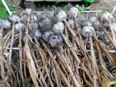 ������� �������� ����� � �������� �������