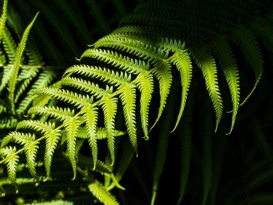 ��� ���� �������� ���������� ��� � ���� ��������