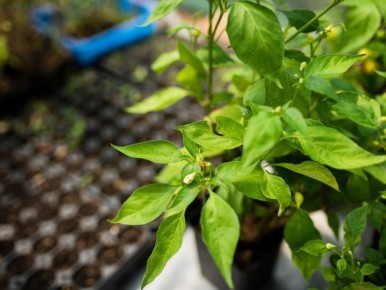 ��������� ����� �����: ��� ��� �������� ���� ������