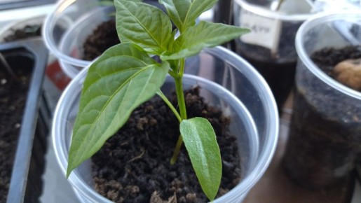 ��� ������� ������ �������� �������� �������� ������ ������ ������