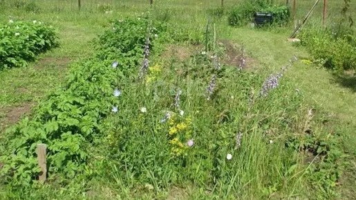 �������� �������� ���������� �������: ��� ����� ���������� �������� � �������