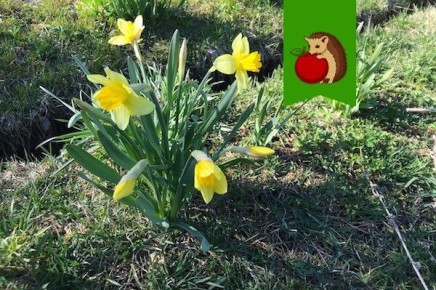 ����� ������������ ��������: ������ �� �������� ������� � �������