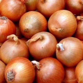 ��� �����: ��������� ������� ��� ������ � �������� ���������