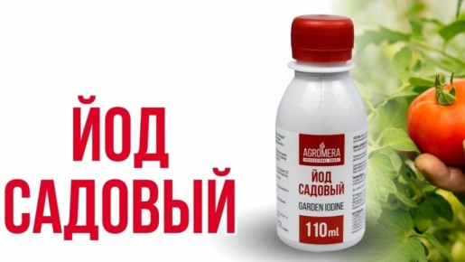 ������������ ������: ��� ��� �������� �������� ������ ���������