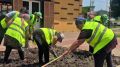 Более 80 тысяч цветов украсят аллею по улице Доватора