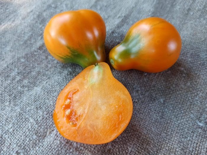 Томат Копилка: секреты успешного выращивания и вкусных заготовок