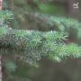 Горы лечат. Лето — время отпусков и путешествий