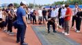 ���������-�������� �������������� � �������������� ����������� �������� ����� ������
