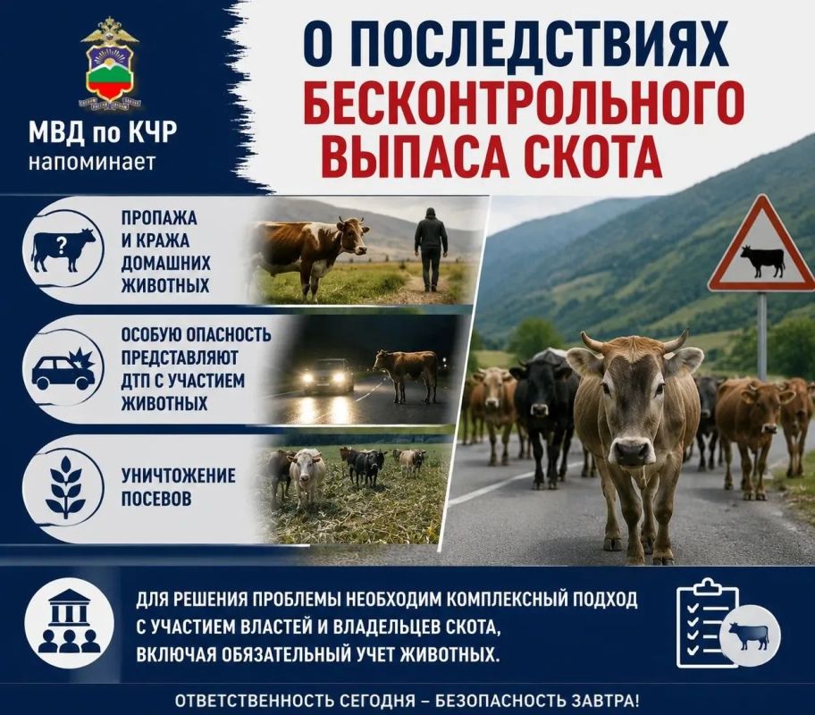 МВД по КЧР напоминает о последствиях бесконтрольного выпаса скота