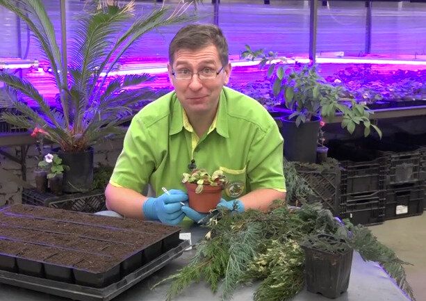 �������� ����� �� ���������� ����������: ������ �� ���������