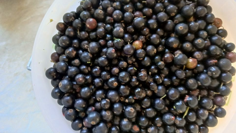 ��� ������ ������� ����� �� ������� ���� � � ������� ������