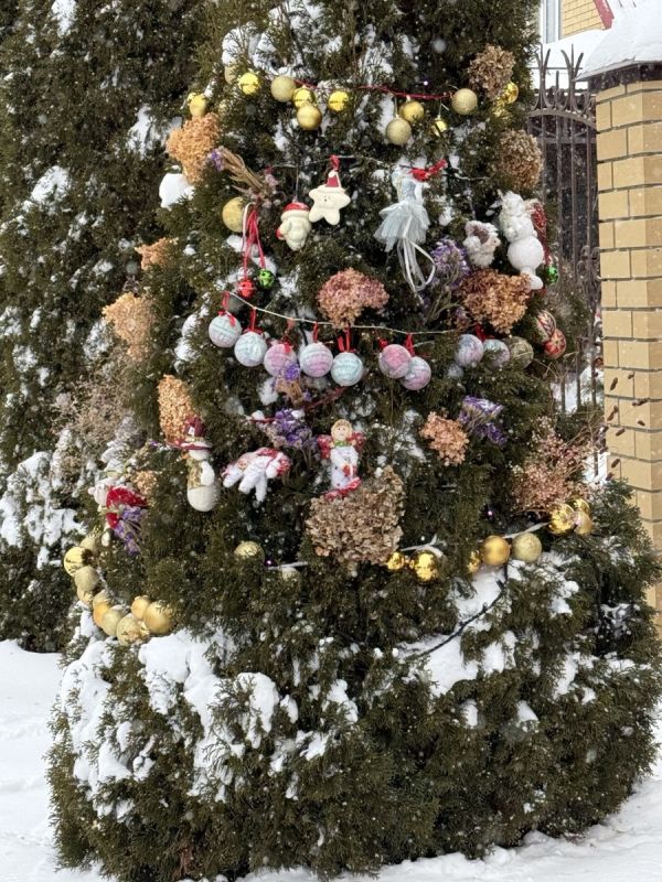 ������ ����������� ������: ��� �������� ���� � �������