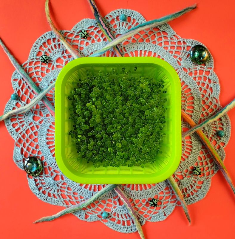 ����������� ���: ��� ��������� ��������� ����� � ���� ����