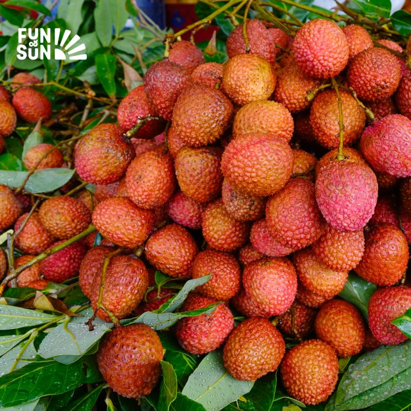 ��������� � ����������� ��� ��������: ��� ��� �� �������� �������