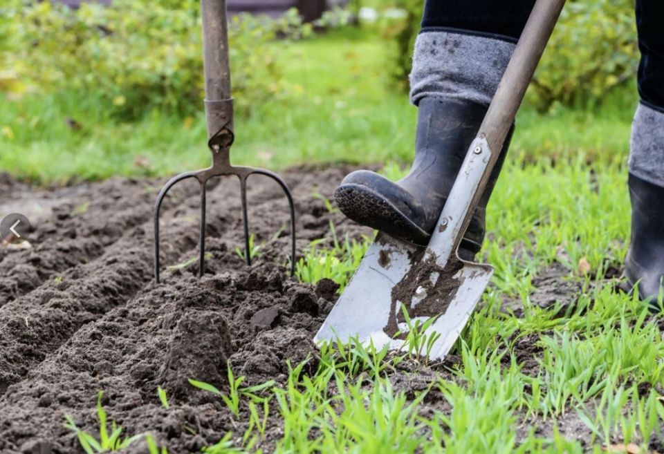 ����� �������� ����� � �������: ������ ������ �� 2026 ���