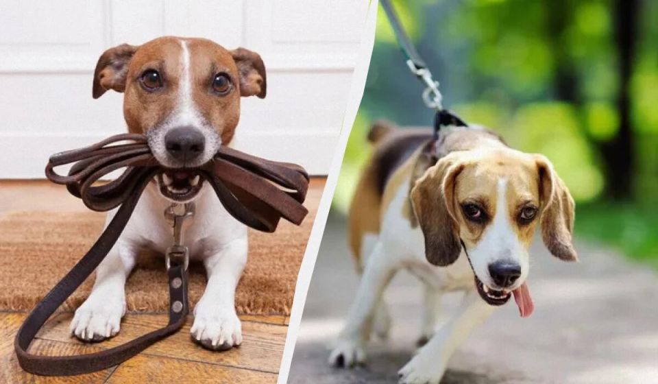 �������, �� ������� ������ ����� �������