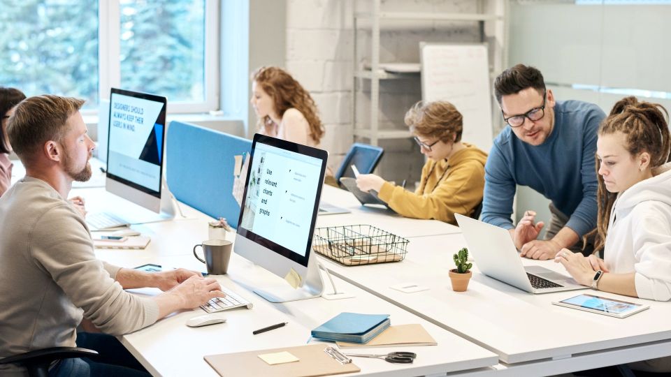 ���������� ������� ����: ��� ������� ��������� � ������ �� ����� ����� ������