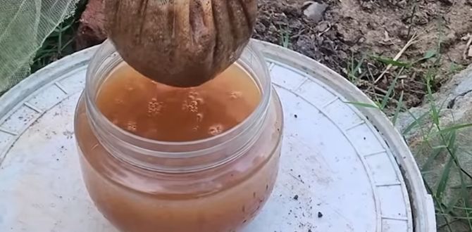 10 ������� �������� ���������, ������� �� ������ ������� ����