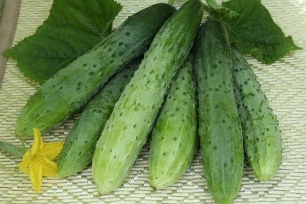 ������ �����: ������� ��������� ����������� � ������������� �����