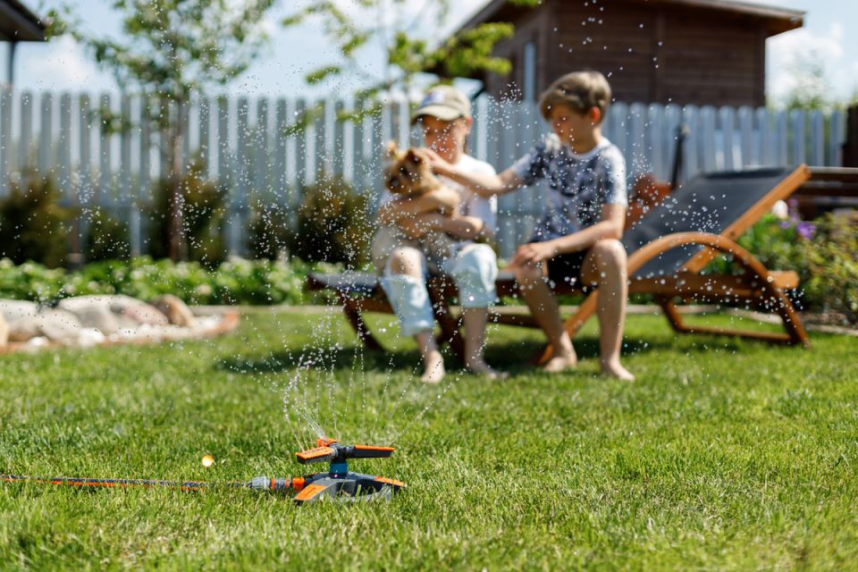 ��� ������� ��������� ��������: ������� ��� ������ �������