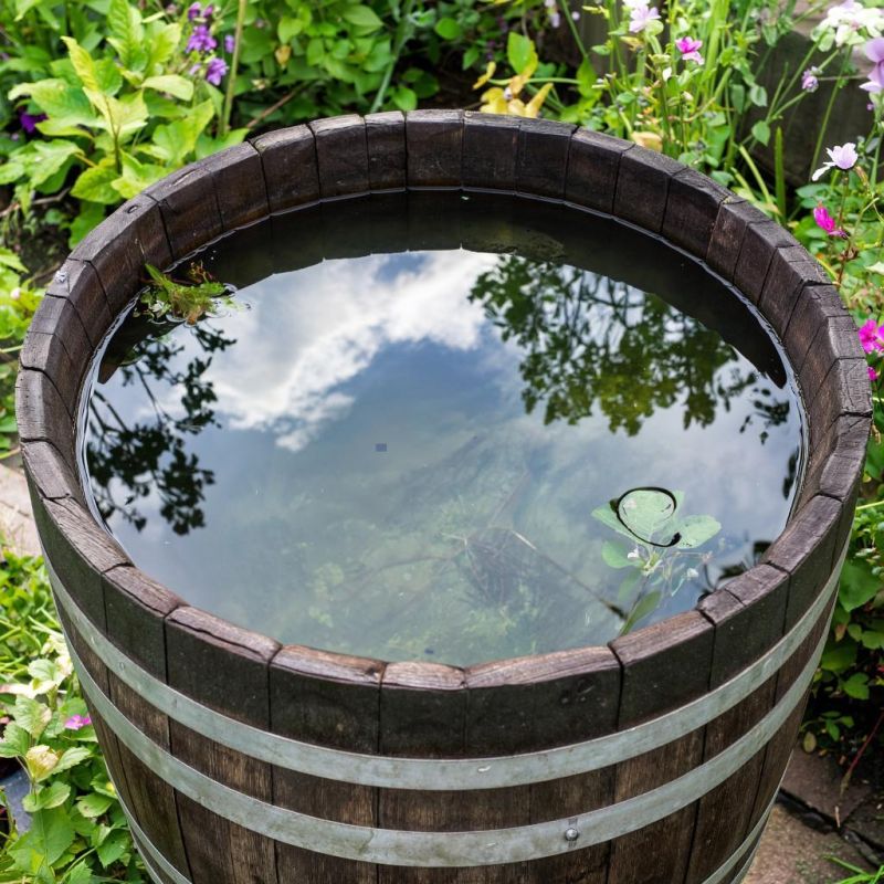 ��� �������� ���� ����� � ����� �� ������ �������