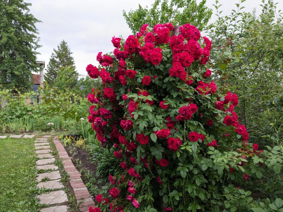 ����������� ������: �������� ��������� � �������������