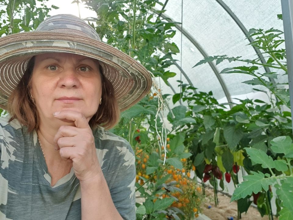 ����� ������ ����� � ������� 2026 ����: ������� ��������� �����