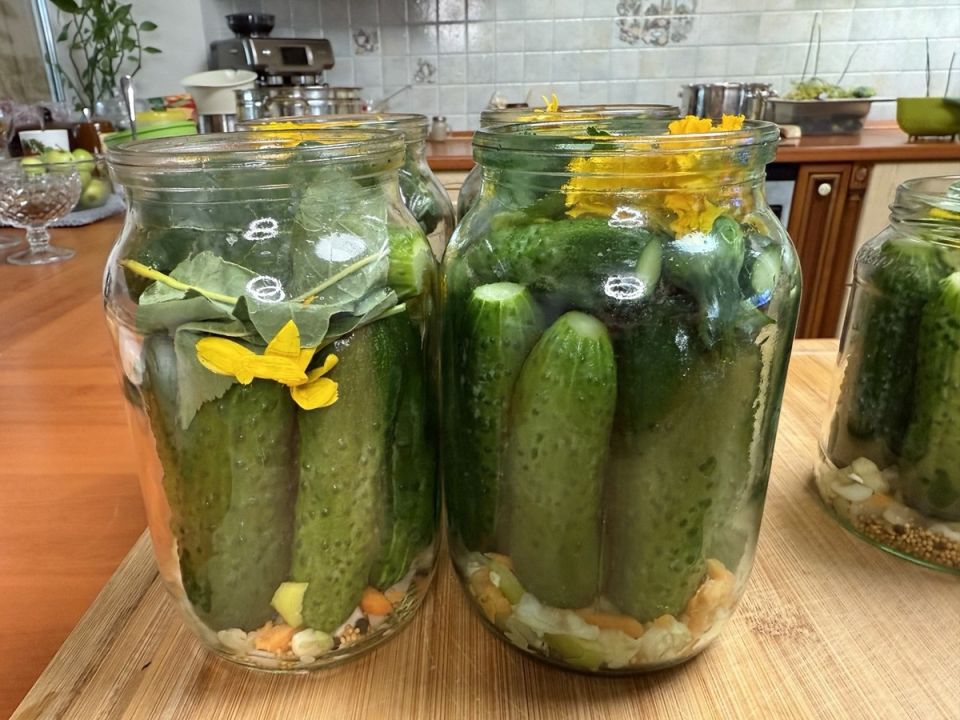 ������ ���������� ������������ ������� � ���������� �������������