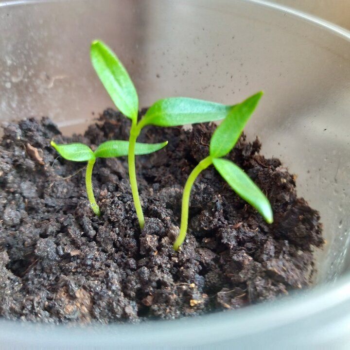 ������������ �����: ��� �������� ���������������� ������ � �������� �������� �������