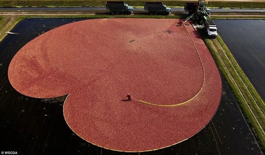 ���� ������ � ������� ������ ��� ��� ����� ������ �����