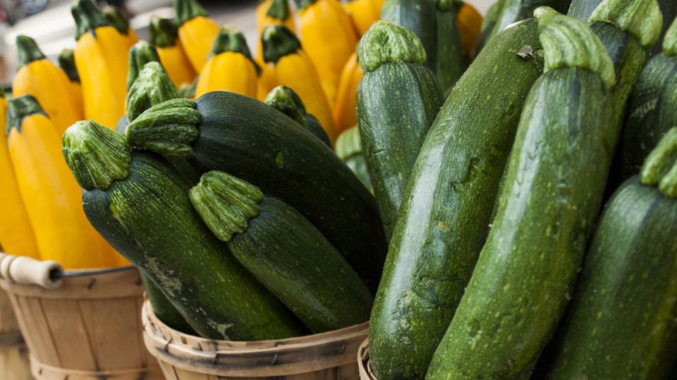 Как грамотно подкармливать кабачки: простая схема, которая работает