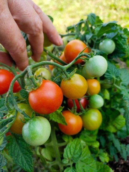 ����� ������: ���������������� ���� � �������� ������� ��� ��������� ������