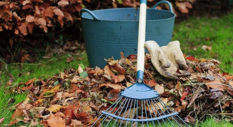 ��� ������������� � ������� ������: ������� ������ ��� ��������