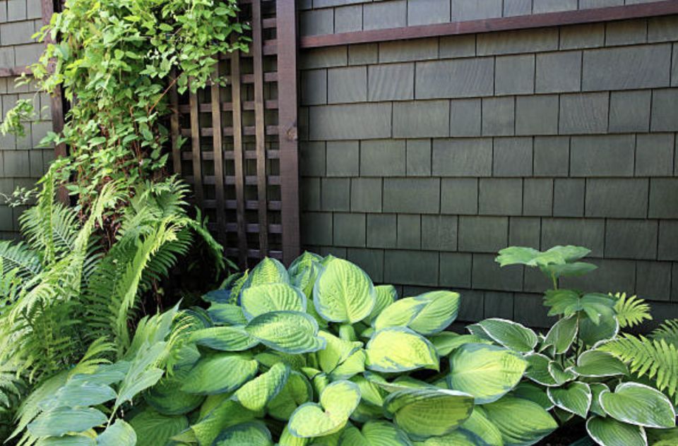 ��� �������� � ����: �����, ����� � ������������ �������� ��� �������� ������� ����