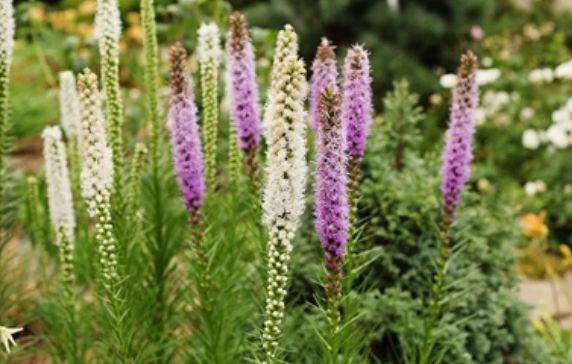 ������� � ������� ������� �� ����� ������